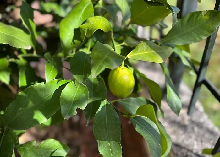 Trikala Home Apartamento *